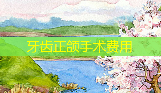 牙齿正颌手术费用-第1张图片-南山整形网 牙齿正颌手术费用-第1张图片-南山整形网