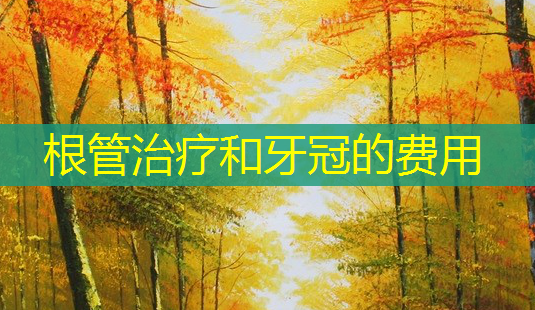 根管治疗和牙冠的费用-第1张图片-南山整形网 根管治疗和牙冠的费用-第1张图片-南山整形网