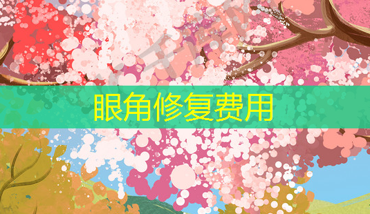 眼角修复费用-第1张图片-南山整形网 眼角修复费用-第1张图片-南山整形网
