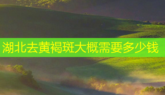 湖北去黄褐斑大概需要多少钱-第1张图片-南山整形网 湖北去黄褐斑大概需要多少钱-第1张图片-南山整形网