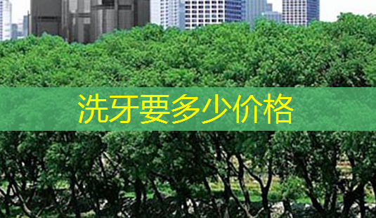 洗牙要多少价格-第1张图片-南山整形网 洗牙要多少价格-第1张图片-南山整形网