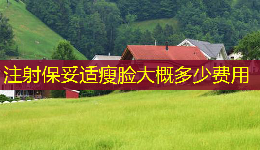 注射 *** 瘦脸大概多少费用-第1张图片-南山整形网