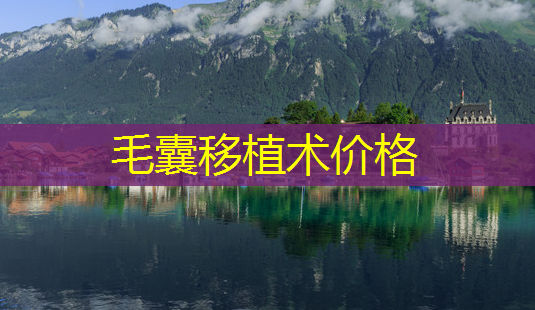 毛囊移植术价格-第1张图片-南山整形网 毛囊移植术价格-第1张图片-南山整形网