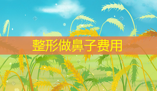 整形做鼻子费用-第1张图片-南山整形网 整形做鼻子费用-第1张图片-南山整形网
