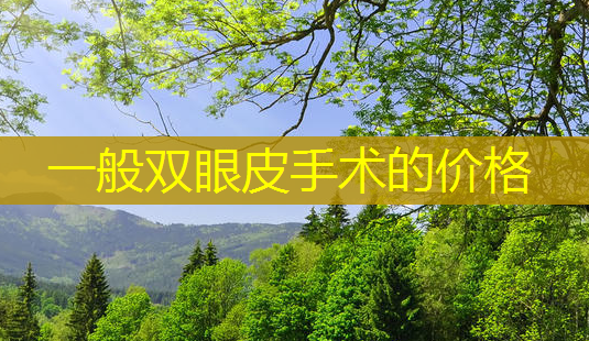 一般双眼皮手术的价格-第1张图片-南山整形网 一般双眼皮手术的价格-第1张图片-南山整形网