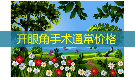 开眼角手术通常价格-第1张图片-南山整形网 开眼角手术通常价格-第1张图片-南山整形网