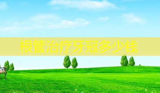 根管治疗牙冠多少钱-第1张图片-南山整形网 根管治疗牙冠多少钱-第1张图片-南山整形网