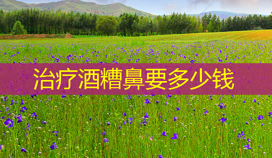 治疗酒糟鼻要多少钱-第1张图片-南山整形网 治疗酒糟鼻要多少钱-第1张图片-南山整形网