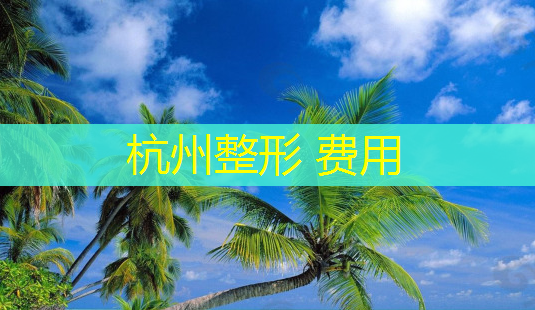 杭州整形 费用-第1张图片-南山整形网 杭州整形 费用-第1张图片-南山整形网