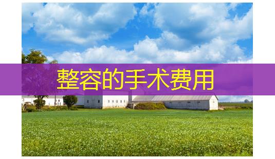 整容的手术费用-第1张图片-南山整形网 整容的手术费用-第1张图片-南山整形网