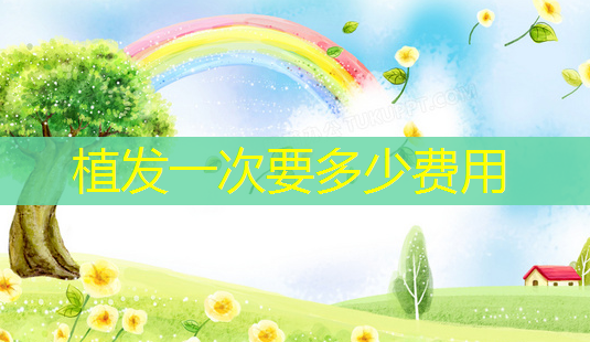 植发一次要多少费用-第1张图片-南山整形网 植发一次要多少费用-第1张图片-南山整形网