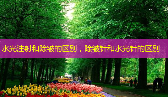 水光注射和除皱的区别,除皱针和水光针的区别-第1张图片-南山整形网 水光注射和除皱的区别,除皱针和水光针的区别-第1张图片-南山整形网