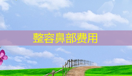 整容鼻部费用-第1张图片-南山整形网 整容鼻部费用-第1张图片-南山整形网