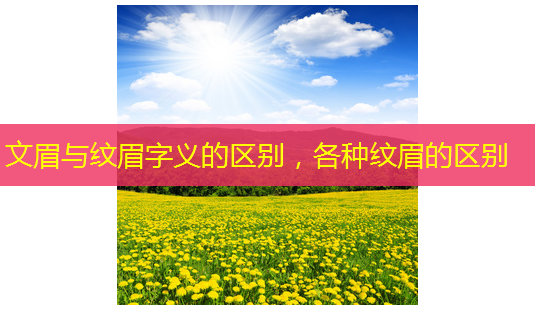 文眉与纹眉字义的区别,各种纹眉的区别-第1张图片-南山整形网 文眉与纹眉字义的区别,各种纹眉的区别-第1张图片-南山整形网