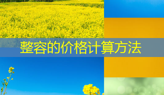 整容的价格计算 *** -第1张图片-南山整形网 整容的价格计算 *** -第1张图片-南山整形网