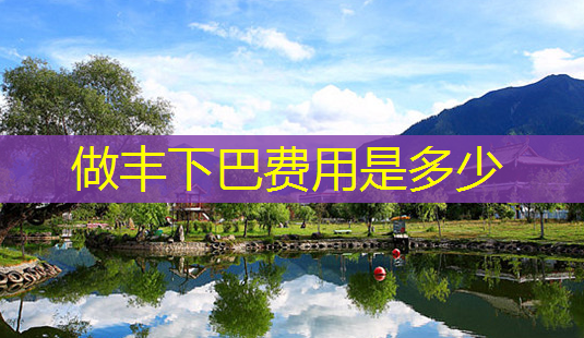 做丰下巴费用是多少-第1张图片-南山整形网 做丰下巴费用是多少-第1张图片-南山整形网