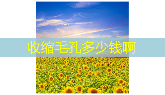 收缩毛孔多少钱啊-第1张图片-南山整形网 收缩毛孔多少钱啊-第1张图片-南山整形网
