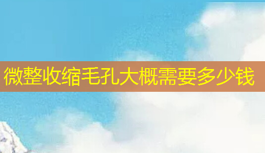微整收缩毛孔大概需要多少钱-第1张图片-南山整形网 微整收缩毛孔大概需要多少钱-第1张图片-南山整形网