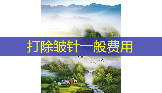 打除皱针一般费用-第1张图片-南山整形网 打除皱针一般费用-第1张图片-南山整形网