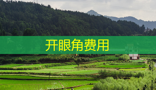 开眼角费用-第1张图片-南山整形网 开眼角费用-第1张图片-南山整形网