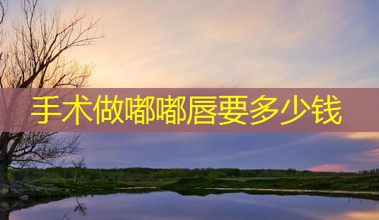 手术做嘟嘟唇要多少钱-第1张图片-南山整形网 手术做嘟嘟唇要多少钱-第1张图片-南山整形网
