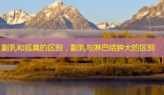 副乳和狐臭的区别,副乳与淋巴结肿大的区别-第1张图片-南山整形网 副乳和狐臭的区别,副乳与淋巴结肿大的区别-第1张图片-南山整形网