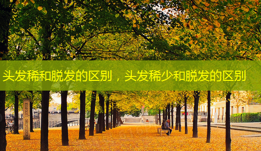 头发稀和脱发的区别,头发稀少和脱发的区别-第1张图片-南山整形网 头发稀和脱发的区别,头发稀少和脱发的区别-第1张图片-南山整形网
