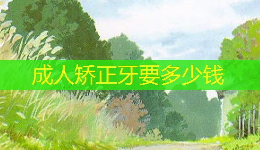 成人矫正牙要多少钱-第1张图片-南山整形网 成人矫正牙要多少钱-第1张图片-南山整形网