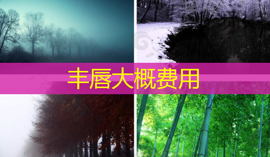 丰唇大概费用-第1张图片-南山整形网 丰唇大概费用-第1张图片-南山整形网