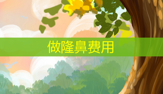 做隆鼻费用-第1张图片-南山整形网 做隆鼻费用-第1张图片-南山整形网