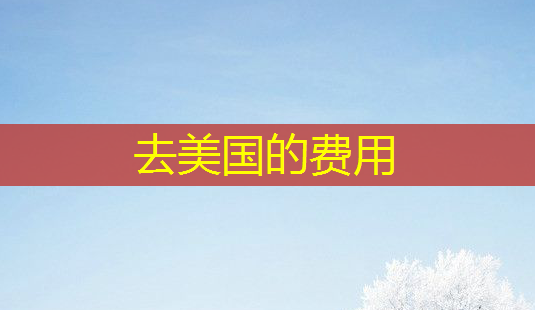 去美国的费用-第1张图片-南山整形网 去美国的费用-第1张图片-南山整形网