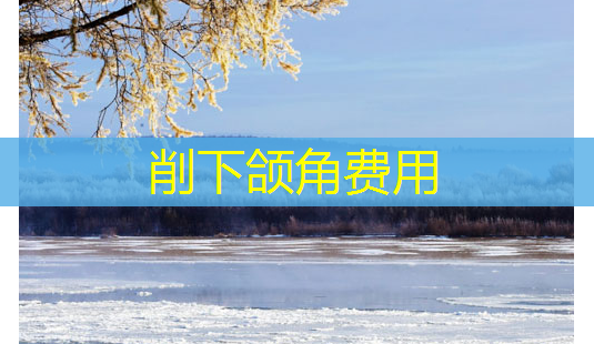 削下颌角费用-第1张图片-南山整形网 削下颌角费用-第1张图片-南山整形网