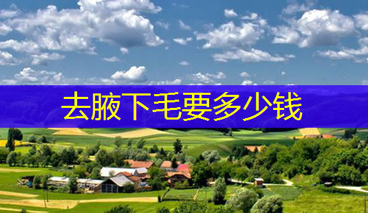 去腋下毛要多少钱-第1张图片-南山整形网 去腋下毛要多少钱-第1张图片-南山整形网