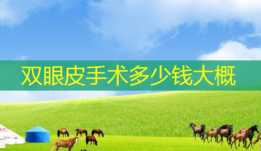 双眼皮手术多少钱大概-第1张图片-南山整形网 双眼皮手术多少钱大概-第1张图片-南山整形网