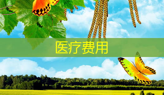 医疗费用-第1张图片-南山整形网 医疗费用-第1张图片-南山整形网