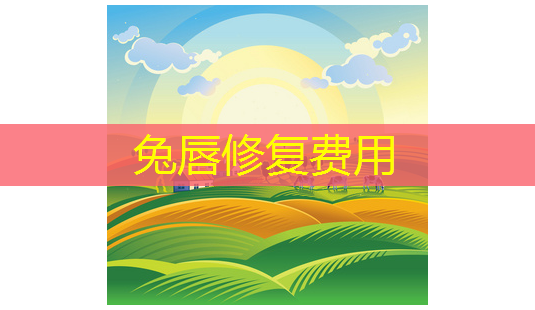 兔唇修复费用-第1张图片-南山整形网 兔唇修复费用-第1张图片-南山整形网