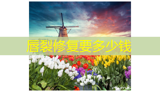 唇裂修复要多少钱-第1张图片-南山整形网 唇裂修复要多少钱-第1张图片-南山整形网