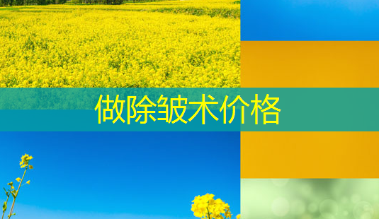 做除皱术价格-第1张图片-南山整形网 做除皱术价格-第1张图片-南山整形网