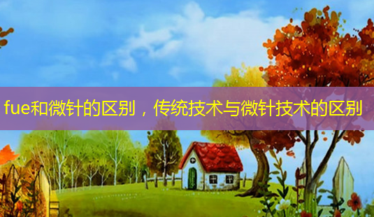 fue和微针的区别,传统技术与微针技术的区别-第1张图片-南山整形网 fue和微针的区别,传统技术与微针技术的区别-第1张图片-南山整形网