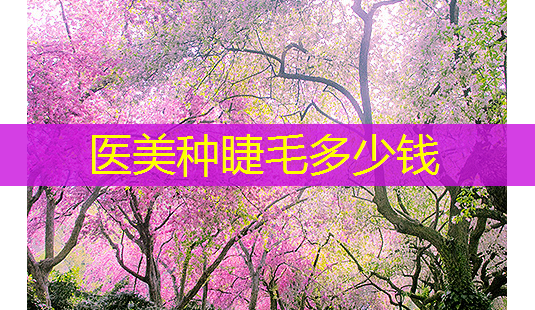 医美种睫毛多少钱-第1张图片-南山整形网 医美种睫毛多少钱-第1张图片-南山整形网