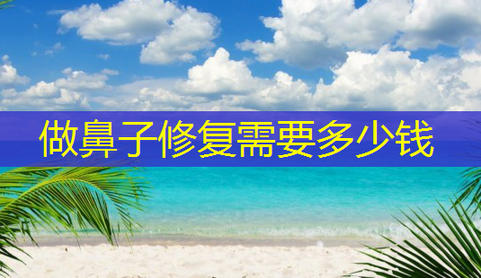 做鼻子修复需要多少钱-第1张图片-南山整形网 做鼻子修复需要多少钱-第1张图片-南山整形网