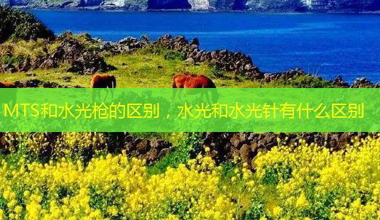 MTS和水光枪的区别,水光和水光针有什么区别-第1张图片-南山整形网 MTS和水光枪的区别,水光和水光针有什么区别-第1张图片-南山整形网