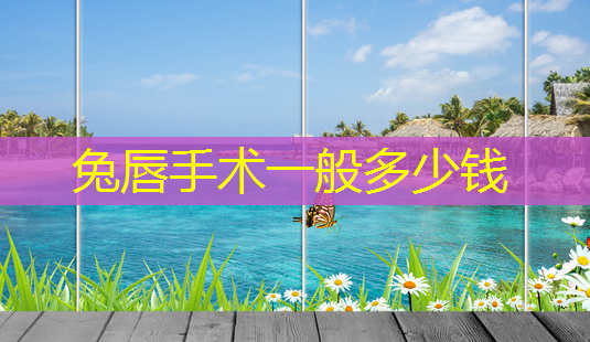 兔唇手术一般多少钱-第1张图片-南山整形网 兔唇手术一般多少钱-第1张图片-南山整形网