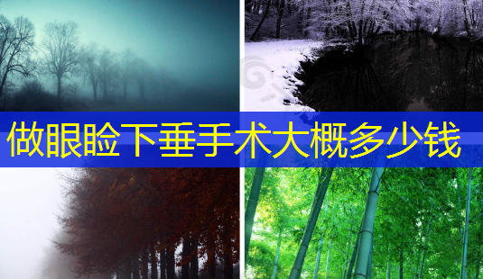 做眼睑下垂手术大概多少钱-第1张图片-南山整形网 做眼睑下垂手术大概多少钱-第1张图片-南山整形网