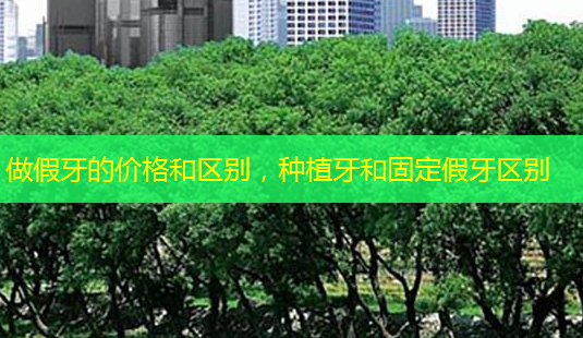 做假牙的价格和区别,种植牙和固定假牙区别-第1张图片-南山整形网 做假牙的价格和区别,种植牙和固定假牙区别-第1张图片-南山整形网