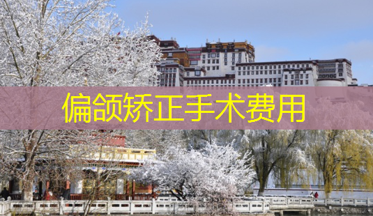 偏颌矫正手术费用-第1张图片-南山整形网 偏颌矫正手术费用-第1张图片-南山整形网