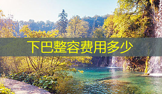 下巴整容费用多少-第1张图片-南山整形网 下巴整容费用多少-第1张图片-南山整形网