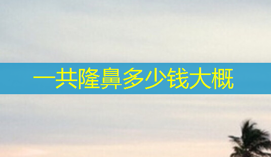 一共隆鼻多少钱大概-第1张图片-南山整形网 一共隆鼻多少钱大概-第1张图片-南山整形网