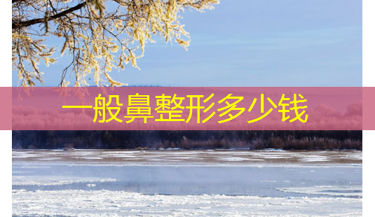 一般鼻整形多少钱-第1张图片-南山整形网 一般鼻整形多少钱-第1张图片-南山整形网