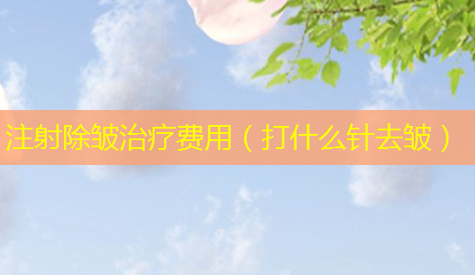 注射除皱治疗费用(打什么针去皱)-第1张图片-南山整形网 注射除皱治疗费用(打什么针去皱)-第1张图片-南山整形网